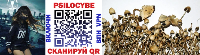 Псилоцибиновые грибы мицелий Симферополь