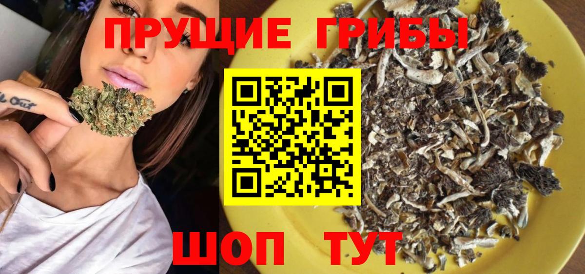 Псилоцибиновые грибы Psilocybe  Вход с VPN  Симферополь 