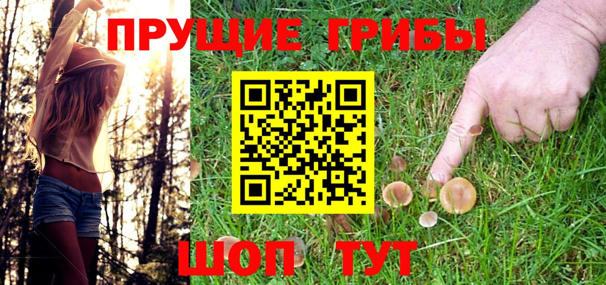 Псилоцибиновые грибы Psilocybine cubensis Симферополь